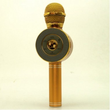 Беспроводной микрофон караоке блютуз WSTER WS-668 Bluetooth динамик USB Золотой Gold