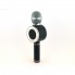 Беспроводной микрофон караоке блютуз WSTER WS-668 Bluetooth динамик USB Чёрный Black
